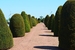 lijnaanplanting Asse lijnaanplanting Asse