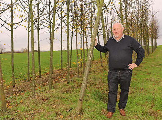 bomen duvelpark bomen duvelpark